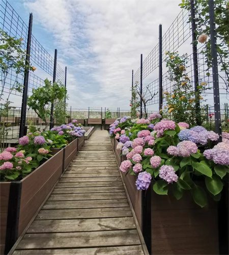 trellis planters